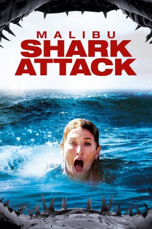 Shark Attack - Sie lauern in der Tiefe!