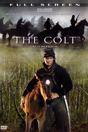 The Colt - Entscheidung im Bürgerkrieg