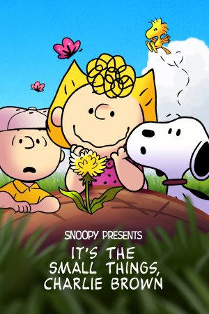 Snoopy präsentiert: Es sind die kleinen Dinge Charlie Brown