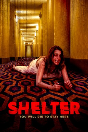 Shelter: You will die To Stay Here